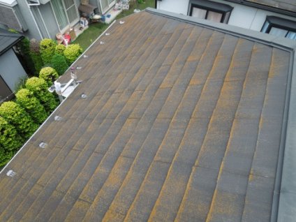 ▲（屋根）苔・シーリング材老朽化・防水性低下等