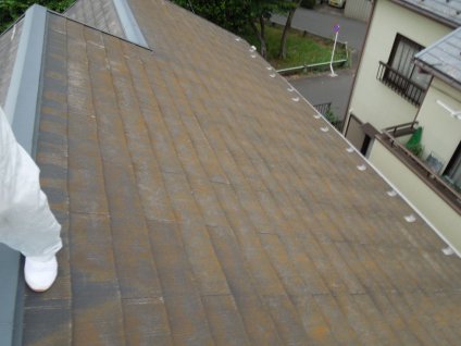 屋根スレート瓦に苔が多く見られ、色褪せも確認できます。