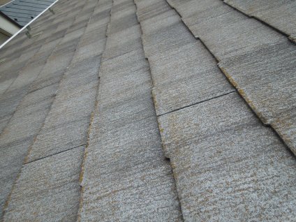 屋根材が劣化し、雨水や湿度により苔や藻、カビが発生しています。
