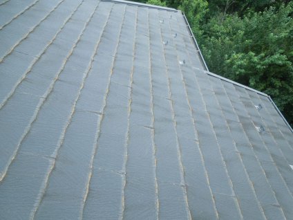 屋根に経年劣化による色褪せや苔、汚れが確認できます。
