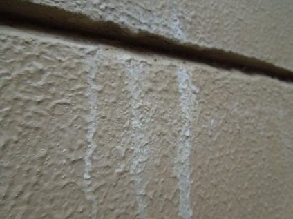擁壁は、経年劣化による色褪せや白華現象、苔が確認できます。