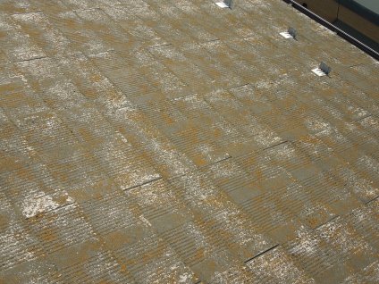 ▲屋根の経年劣化による塗膜の剥がれや苔