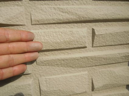 外壁に経年劣化による退色や苔、チョーキングが確認できます。