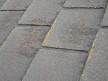 ▲屋根の経年劣化、苔、塗膜剥離