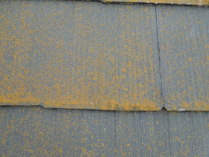 ▲屋根の経年劣化に苔や塗膜剥離