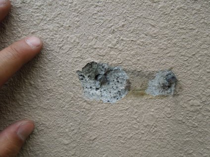 外壁にモルタルの剥落が見られます。