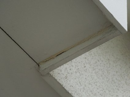 軒天は、経年劣化による色褪せや黒カビが見られ、外壁との取り合い部ジョイントシール材の
老朽化が確認できます。