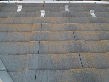 屋根に、経年劣化による色褪せ、苔・塵埃などによる汚れ、塗膜剥離などが確認できます。