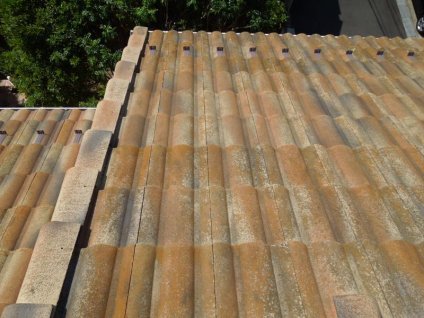 屋根に、経年劣化による色褪せ、苔・塵埃などによる汚れ、棟部漆喰の劣化などが確認できます。