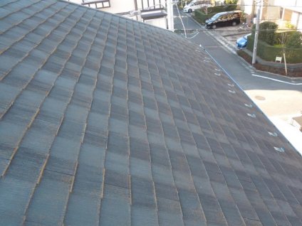 屋根に、経年劣化による色褪せ、苔などの汚れが確認できます。