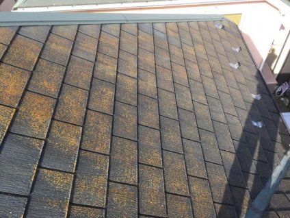 屋根に、経年劣化による苔・塵埃などの汚れ、塗膜剥離などが確認できます。