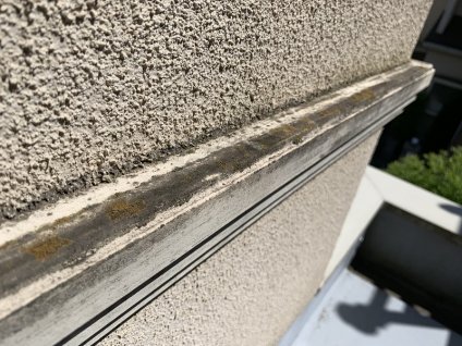 帯板・幕板に経年劣化による退色、苔、黒カビ、塗膜剥離、天場部シールに、ひび割れ等の経年劣化が確認できます。