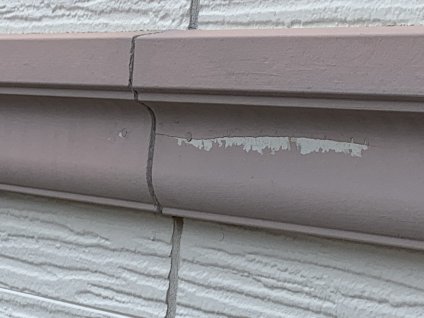 帯板に経年劣化による退色、苔、黒カビ、塗膜剥離などの劣化が確認できます。