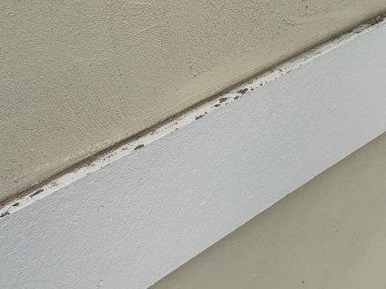 帯板に経年劣化による退色、苔、黒カビ、塗膜剥離、ジョイントシール材の劣化が確認できます。天場部シールにも、ひび割れ等の経年劣化が確認できます。