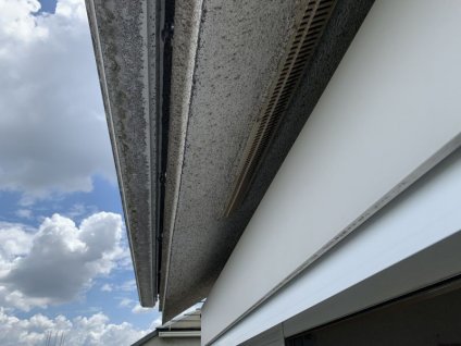 軒天井を目視調査したところ、様々な自然環境の影響により、退色や苔、塗膜剥離、ジョイントシール材の老朽化が見られ、適切な補修が必要です。