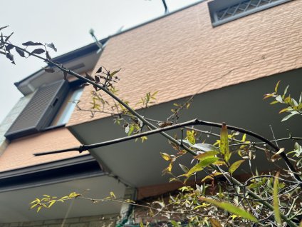 軒天井BEFORE